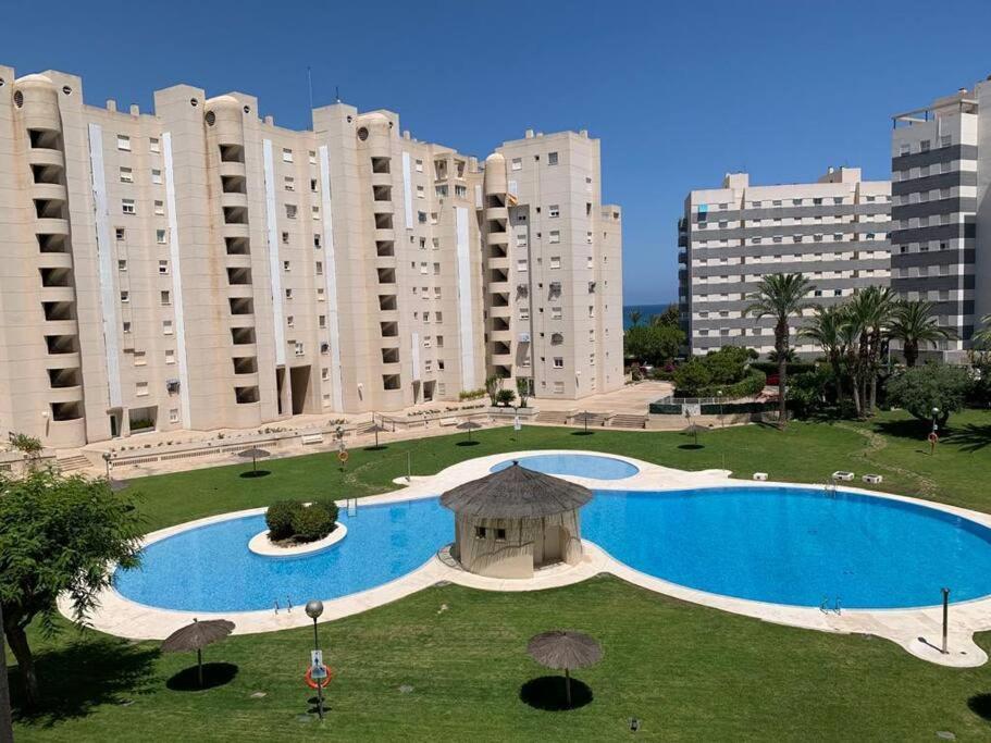 Apartamento - Playa El Campello Urbanizacion Jardin Del Mar 外观 照片